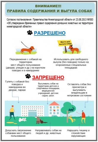 Памятка по выгулу домашних животных